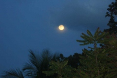 diani_beach_-10-