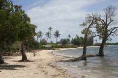 diani_beach_-12-