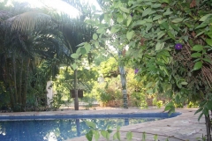 diani_beach_-5-