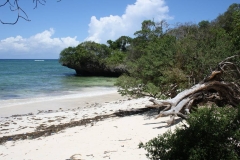diani_beach_-6-