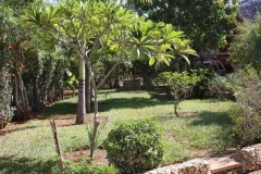 p_g_-8-