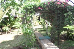 p_g_-9-